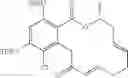 Fig. 92 - Macrocyclic compounds useful as inhibitors of kinases and HSP90