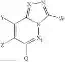 Fig. 02 - Bicyclic and Tricyclic Heteroaromatic Compounds