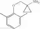 Fig. 13 - Substituted cycloalkyl derivatives, process for the manufacture thereof and use thereof as medicament