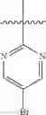 Fig. 158 - Nicotinamide derivatives