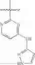 Fig. 159 - Nicotinamide derivatives