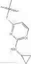 Fig. 425 - Nicotinamide derivatives