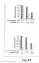 Fig. 02 - Method of treating cancers using beta-lapachone or analogs or derivatives thereof