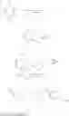 Fig. 41 - Non-nucleoside reverse transcriptase inhibitors