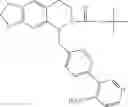 Fig. 49 - Therapeutic tetrahydroisoquinoline-based compositions for cancer therapy