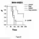 Fig. 09 - COMBINATION THERAPY WITH PARP INHIBITORS