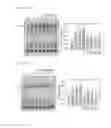 Fig. 08 - PHARMACEUTICAL COMPOSITION COMPRISING A-LIPOIC ACID FOR INFLAMMATORY DISEASES