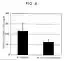 Fig. 07 - Plant-Origin Alpha3-Adrenoceptor Agonist and Use of the Same