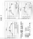 Fig. 08 - Plant-Origin Alpha3-Adrenoceptor Agonist and Use of the Same
