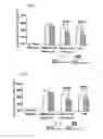 Fig. 03 - Hypoglycemic agent, hepatoprotecting agent and anticancer agent containing lignans derived from hongdoushan