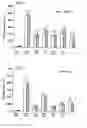 Fig. 04 - Hypoglycemic agent, hepatoprotecting agent and anticancer agent containing lignans derived from hongdoushan