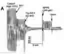 Fig. 01 - Novel Chloride Channel Pore Openers