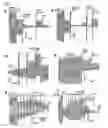 Fig. 02 - Novel Chloride Channel Pore Openers
