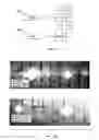 Fig. 22 - Methods of therapeutic treatment of eyes and other human tissues using an oxygen-enriched solution