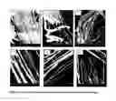 Fig. 02 - Manufacturing process of cellulose nanofibers from renewable feed stocks