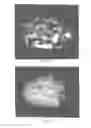 Fig. 04 - Compositions and Composites of Cellulosic and Lignocellulosic Materials and Resins, and Methods of Making the Same