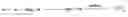 Fig. 01 - Universal grignard	 metathesis polymerization