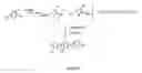 Fig. 09 - Universal grignard	 metathesis polymerization
