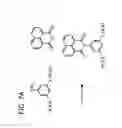 Fig. 22 - MATERIALS AND METHODS FOR CO-CRYSTAL CONTROLLED SOLID-STATE SYNTHESIS OF IMIDES AND IMINES