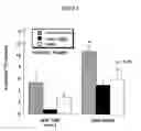 Fig. 06 - Antibody against tumor specific antigen as target