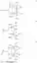 Fig. 08 - Process for synthesizing heterocyclic compounds