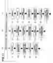 Fig. 12 - METHOD OF PROCESSING SUBSTRATE AND CHEMICAL USED IN THE SAME