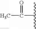 Fig. 07 - Semi-synthesis and isolation of taxane intermediates from a mixture of taxanes