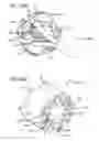 Fig. 08 - Brachytherapy device having seed tubes with individually-settable tissue spacings