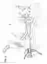 Fig. 04 - INTUBATION INSTRUMENT