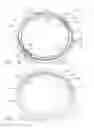 Fig. 08 - Fully automated iris seal for hand assisted laparoscopic surgical procedures