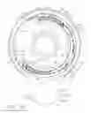 Fig. 16 - Fully automated iris seal for hand assisted laparoscopic surgical procedures