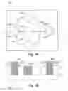 Fig. 04 - Device, system and method for in vivo analysis
