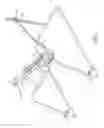 Fig. 02 - CONTINUOUS PASSIVE MOTION DEVICE FOR A TOE