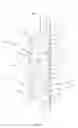 Fig. 02 - Wall-mounted back massager including wheels
