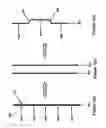 Fig. 02 - Shape and pressure adjustable dressing