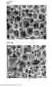 Fig. 03 - Polyurethane foam dressing with improved moisturization