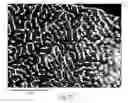 Fig. 19 - Method for preparing a compressed wound dressing
