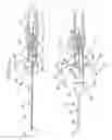 Fig. 02 - Safety spring catheter introducer assembly