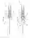 Fig. 06 - Safety spring catheter introducer assembly