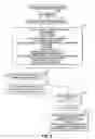 Fig. 12 - Systems and methods for managing information relating to medical fluids and syringes therefor