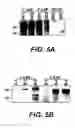 Fig. 07 - Use of VEGF-C or VEGF-D in Reconstructive Surgery