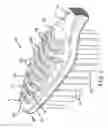 Fig. 04 - Oral care implement