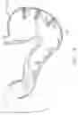 Fig. 04 - Stomach invagination method and apparatus