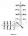 Fig. 14 - Clinical and surgical system and method for moving and stretching plastic tissue