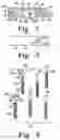 Fig. 03 - BONE PLATE SYSTEM WITH SLIDABLE COMPRESSION HOLES