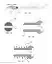 Fig. 02 - SYSTEM AND METHOD FOR A CAP USED IN THE FIXATION OF BONE FRACTURES