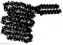 Fig. 01 - RGD peptide attached to bioabsorbable stents