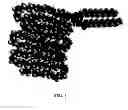 Fig. 02 - RGD peptide attached to bioabsorbable stents