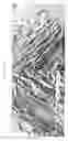 Fig. 03 - Tissue scaffold having aligned fibrils, apparatus and method for producing the same, and artificial tissue and methods of use thereof