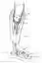 Fig. 01 - Prosthetic vacuum system